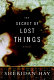 The secret of lost things : a novel /