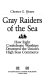 Gray raiders of the sea : how eight Confederate warships destroyed the Union's high seas commerce /
