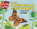 From caterpillar to butterfly /