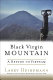 Black Virgin Mountain : a return to Vietnam /