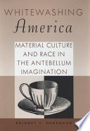 Whitewashing America : material culture and race in the antebellum imagination /