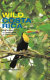 Wild Costa Rica : the wildlife & landscapes of Costa Rica /