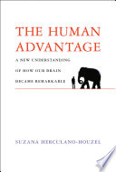 The human advantage : a new understanding of how our brain became remarkable /