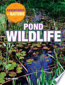 Pond wildlife /