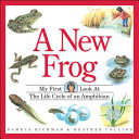 A new frog : my first look at the life cycle of an amphibian /