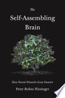 The self-assembling brain : how neural networks grow smarter /