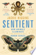 Sentient : what animals reveal about our senses /