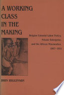 A working class in the making : Belgian colonial labor policy, private enterprise, and the African mineworker, 1907-1951 /