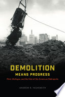 Demolition Means Progress : Flint, Michigan, and the Fate of the American Metropolis /