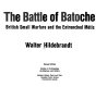 The Battle of Batoche : British small warfare and the entrenched Métis /