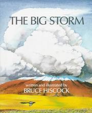 The big storm /