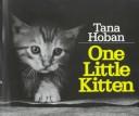 One little kitten /