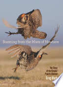 Booming from the mists of nowhere : the story of the greater prairie-chicken /