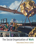 The social organization of work /