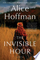 The invisible hour : a novel /