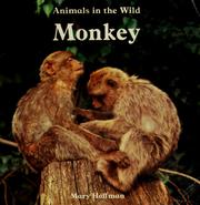 Animals in the wild,monkey /