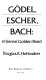 Godel, Escher, Bach : an eternal golden braid /
