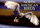 North American birds /