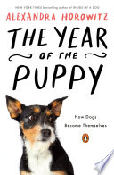 The year of the puppy : how dogs become themselves /