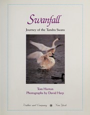 Swanfall : journey of the tundra swans /