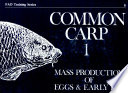 Common carp.