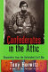 Confederates in the attic : dispatches from the unfinished Civil War /