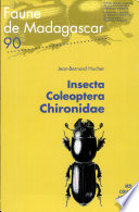 Insecta, Coleoptera, Chironidae /