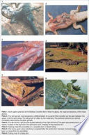 Crocodiles : biology, husbandry and diseases /