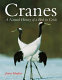 Cranes : a natural history of a bird in crisis /