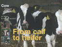 From calf to heifer : a practical guide for rearing young stock /