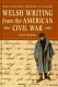 Sons of Arthur, children of Lincoln : Welsh writing from the American Civil War /