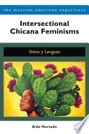 Intersectional Chicana feminisms : sitios y lenguas /