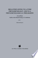 Studies in the phenomenology of constitution /
