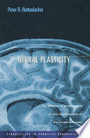 Neural plasticity : the effects of environment on the development of the cerebral cortex /