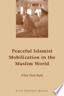 Peaceful Islamist Mobilization in the Muslim World : What Went Right /