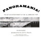 Panoramania! : the art and entertainment of the "all-embracing" view /