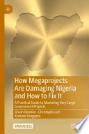 How Megaprojects Are Damaging Nigeria and How to Fix It : A Practical Guide to Mastering Very Large Government Projects /