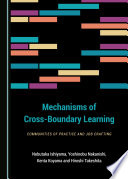 Mechanisms of cross-boundary learning : communities of practice and job crafting /