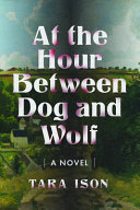 At the hour between dog and wolf : a novel /