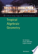 Tropical algebraic geometry /