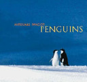 Mitsuaki Iwago's penguins /
