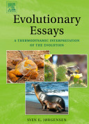 Evolutionary essays : a thermodynamic interpretation of the evolution /