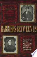 Barriers between us : interracial sex in nineteenth-century American literature /