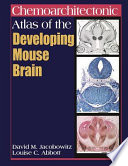 Chemoarchitectonic atlas of the developing mouse brain /