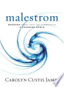 Malestrom : manhood swept into the currents of a changing world /