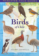 Birds of Chile /