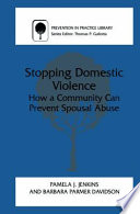 Stopping Domestic Violence : How a Community Can Prevent Spousal Abuse /