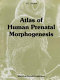 Atlas of human prenatal morphogenesis /