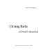 Diving birds of North America /