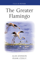 The greater flamingo /
